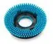 xl bross bl st.webp