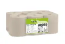 Papier essuie-main en rouleau autocut - 285 ML - D20 MandrinD39 *6 ECOLABEL