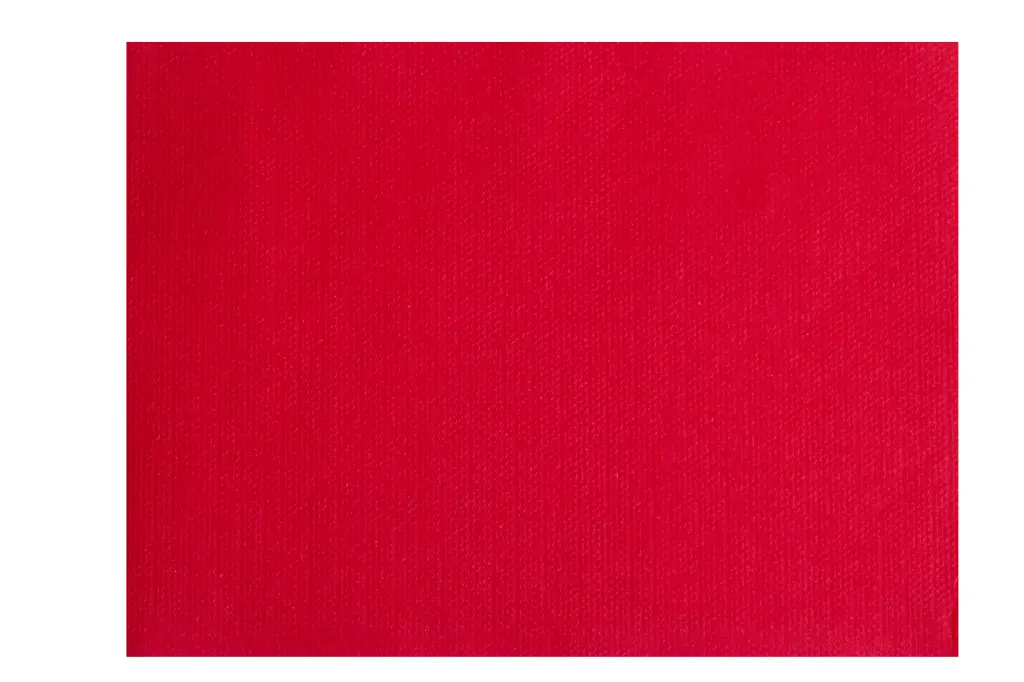 Set de table 40*30 1000 pièces Rouge